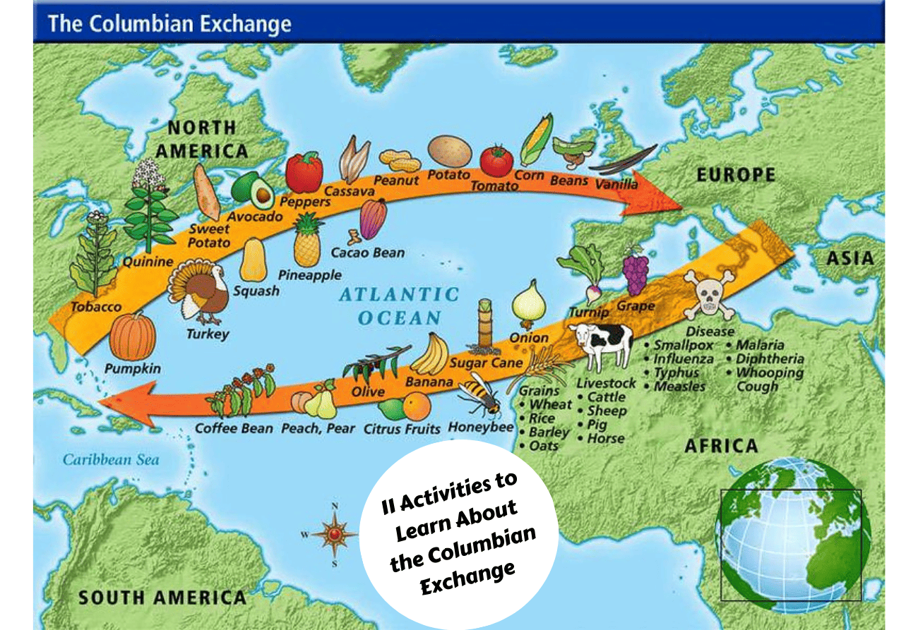 11 Activities To Learn About The Columbian Exchange Teaching Expertise