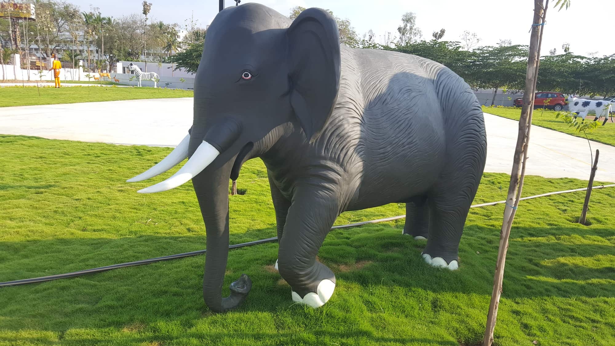 The Radha Elephants Reading Comprehension Worksheet