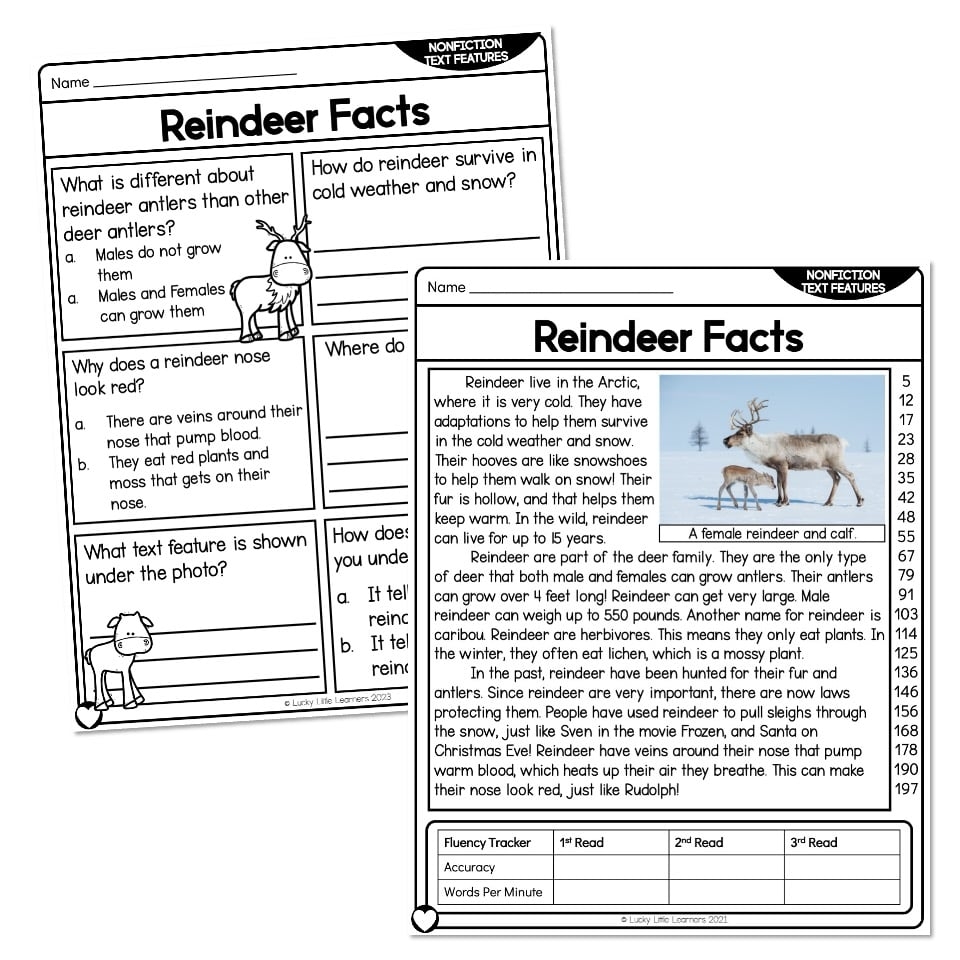 2nd Grade Reading Comprehension Passage Nonfiction Text Features 