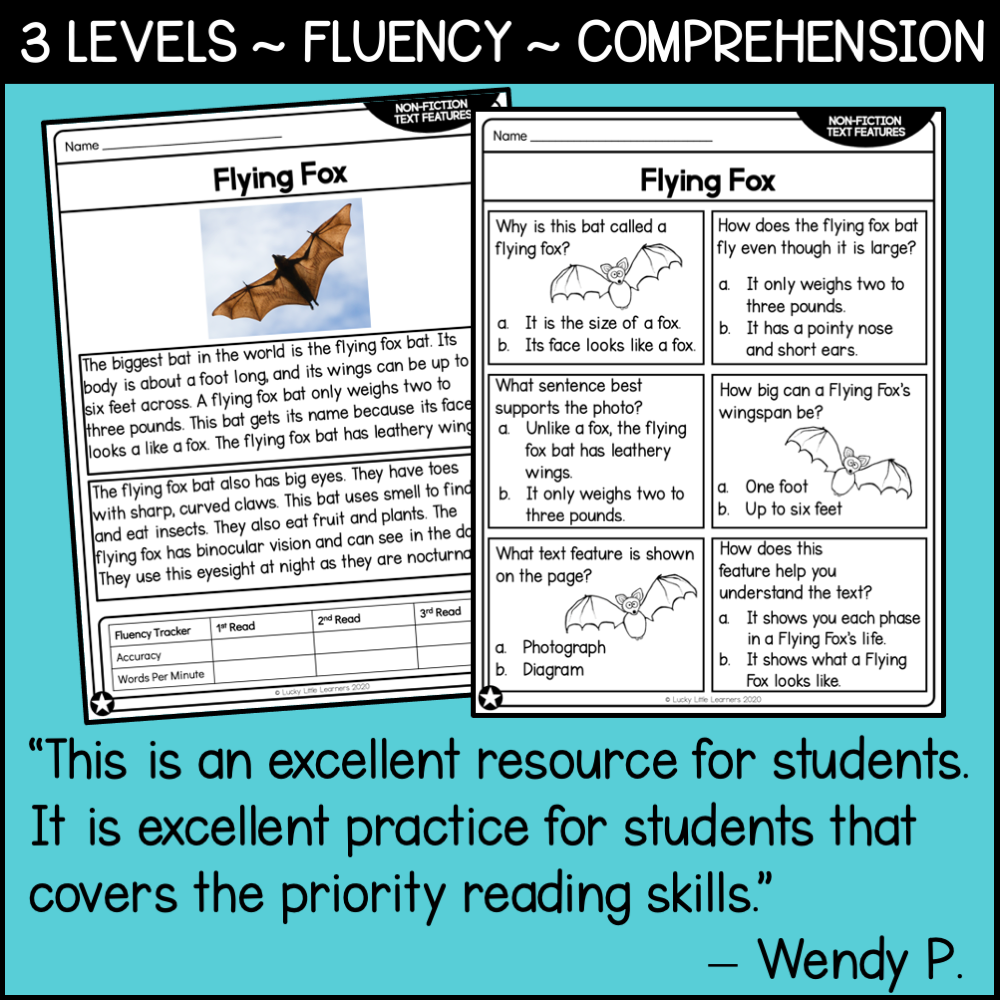 Nonfiction Reading Comprehension Worksheets 2nd Grade