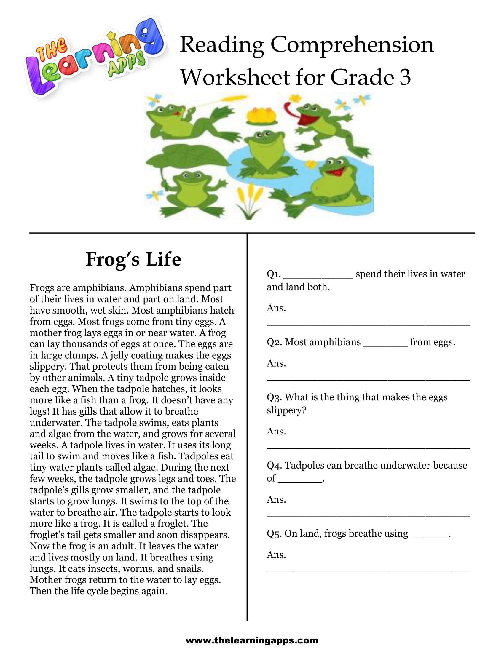 3rd Grade Language Arts Worksheets Turtle Diary Worksheets Library