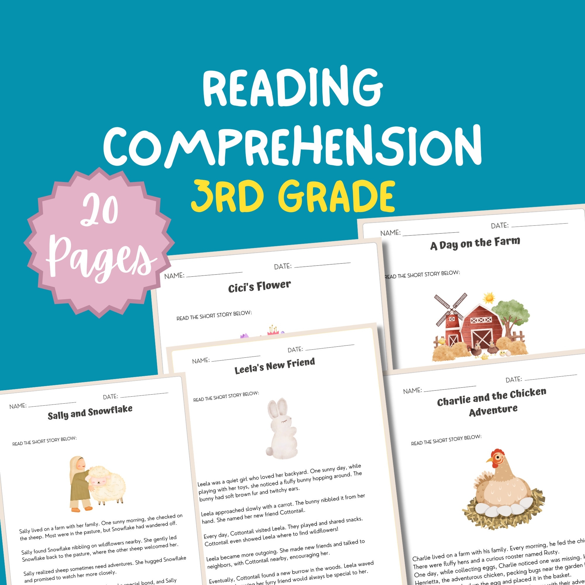 3rd Grade Reading Comprehension Worksheet Grade 3 Reading Passage Third Grade Printable Reading Sheet Elementary Reading Workbook Activity Etsy