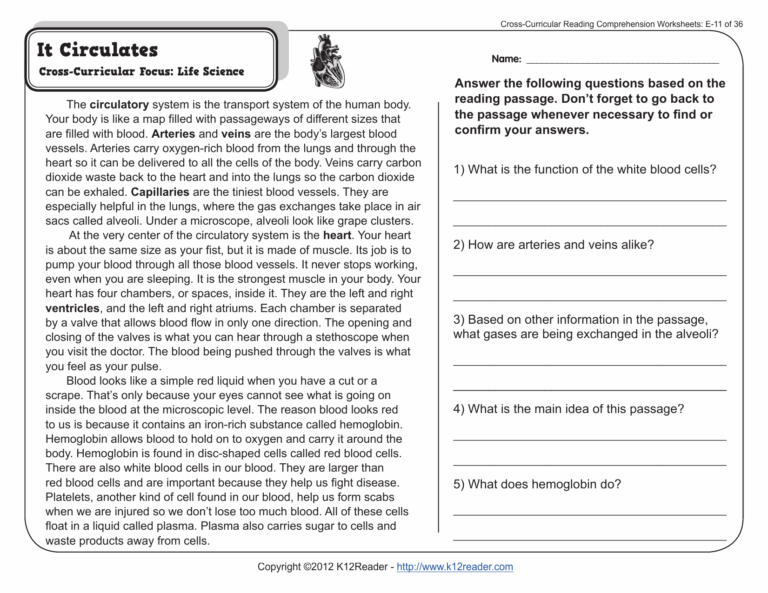 5th Grade Reading Comprehension WorksheetsFifth Grade Week 14 Week Worksheets Library