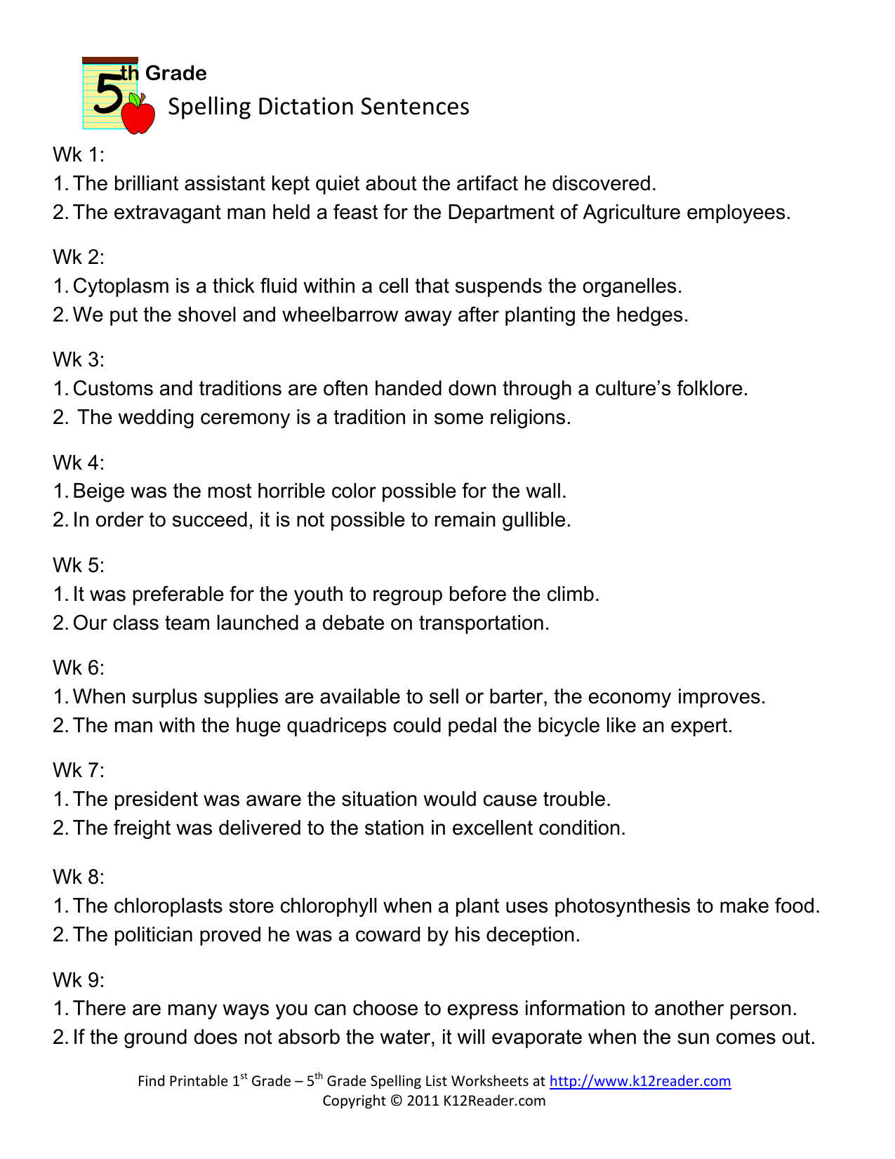 5th Grade Spelling Dictation Sentences Worksheet