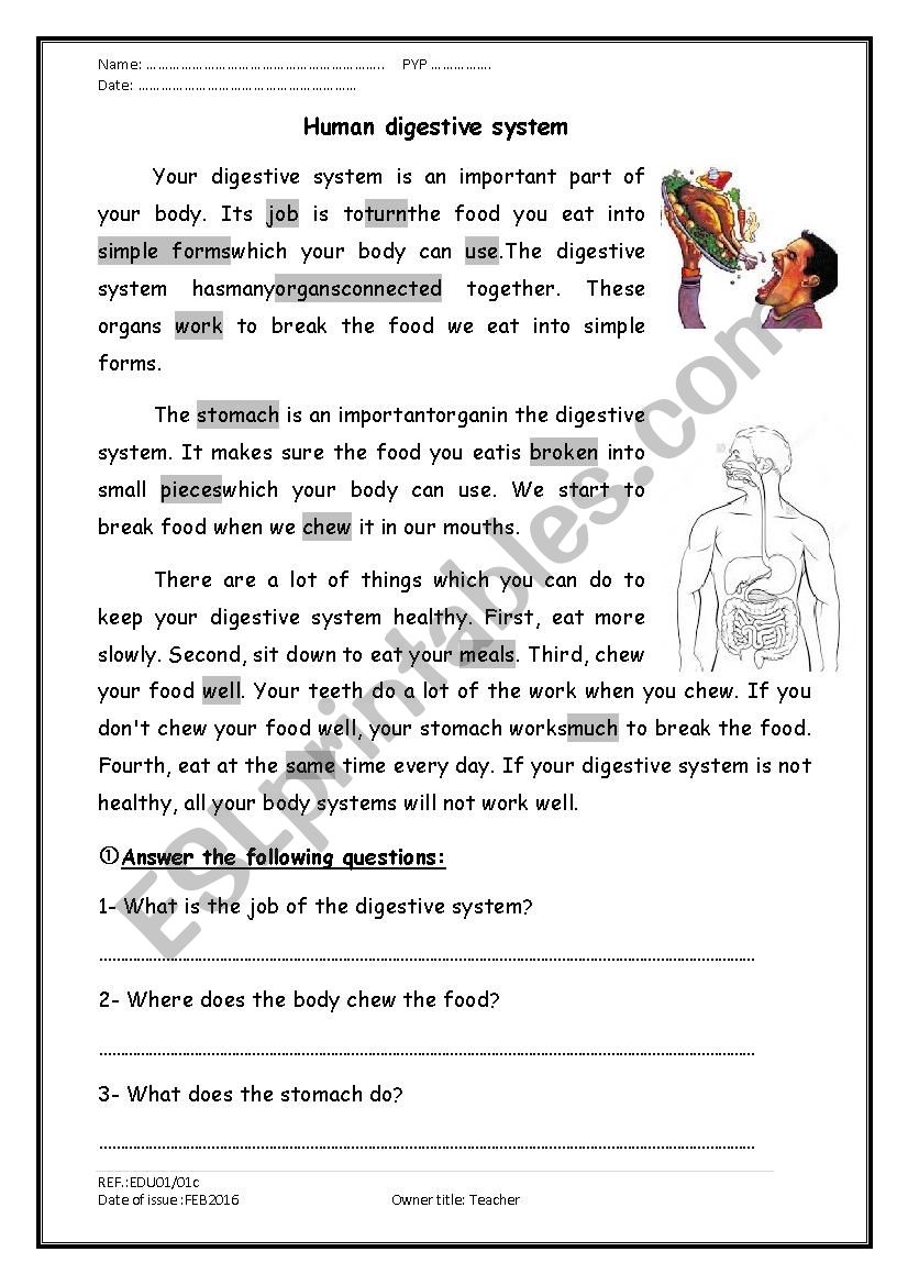 A Reading Comprehension Passage About The Digestive System ESL 
