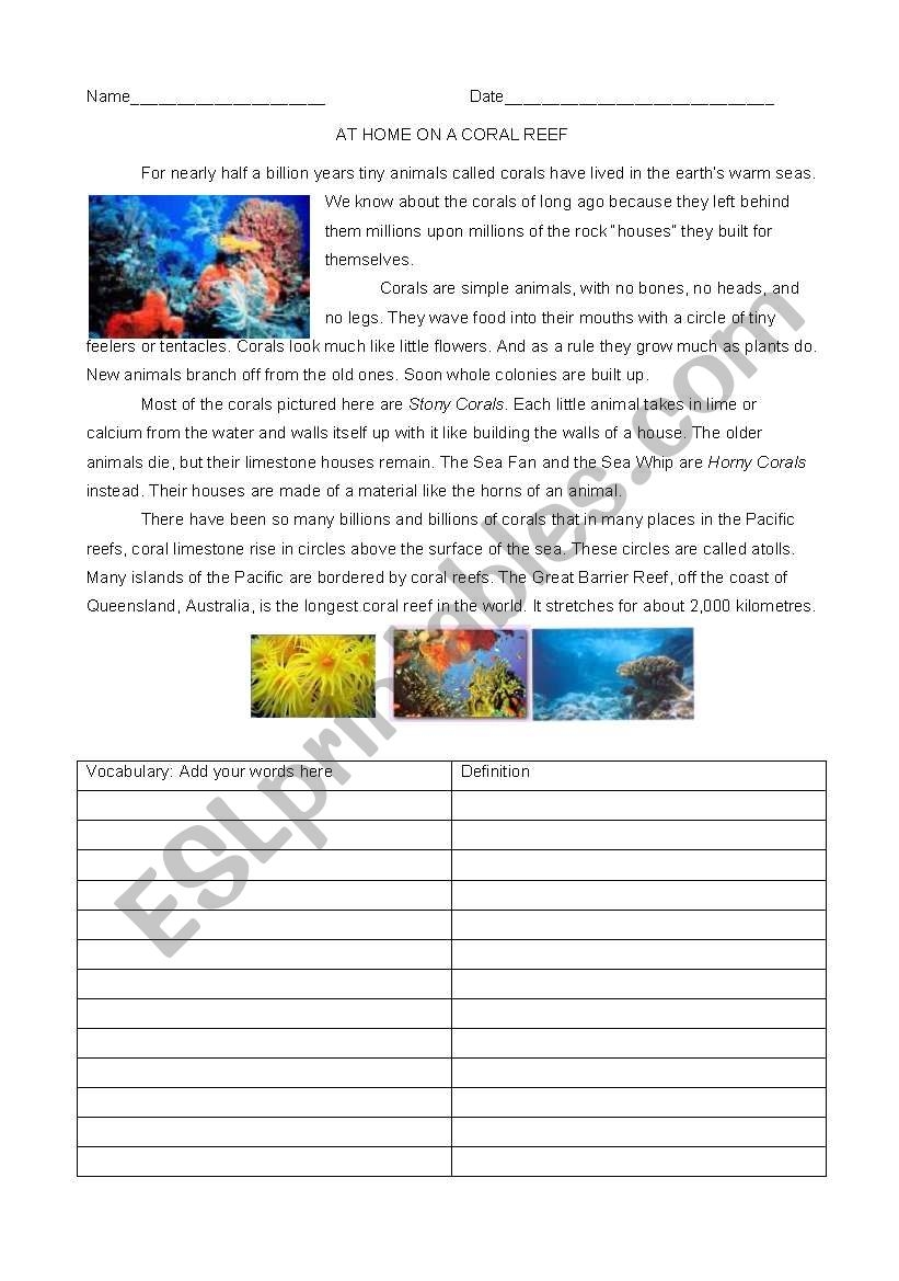 All About Coral Reefs ESL Worksheet By Zgeneration