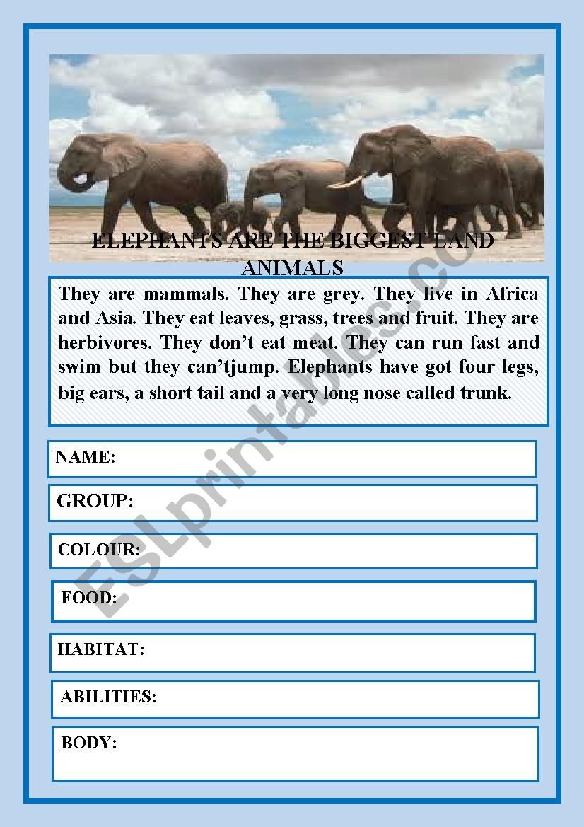 AMAZING ANIMALS I READING COMPREHENSION ESL Worksheet By Lorena Villalba