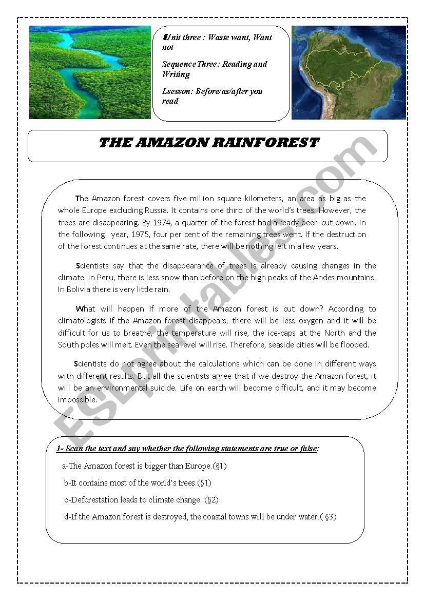 Rainforest Reading Comprehension Worksheets