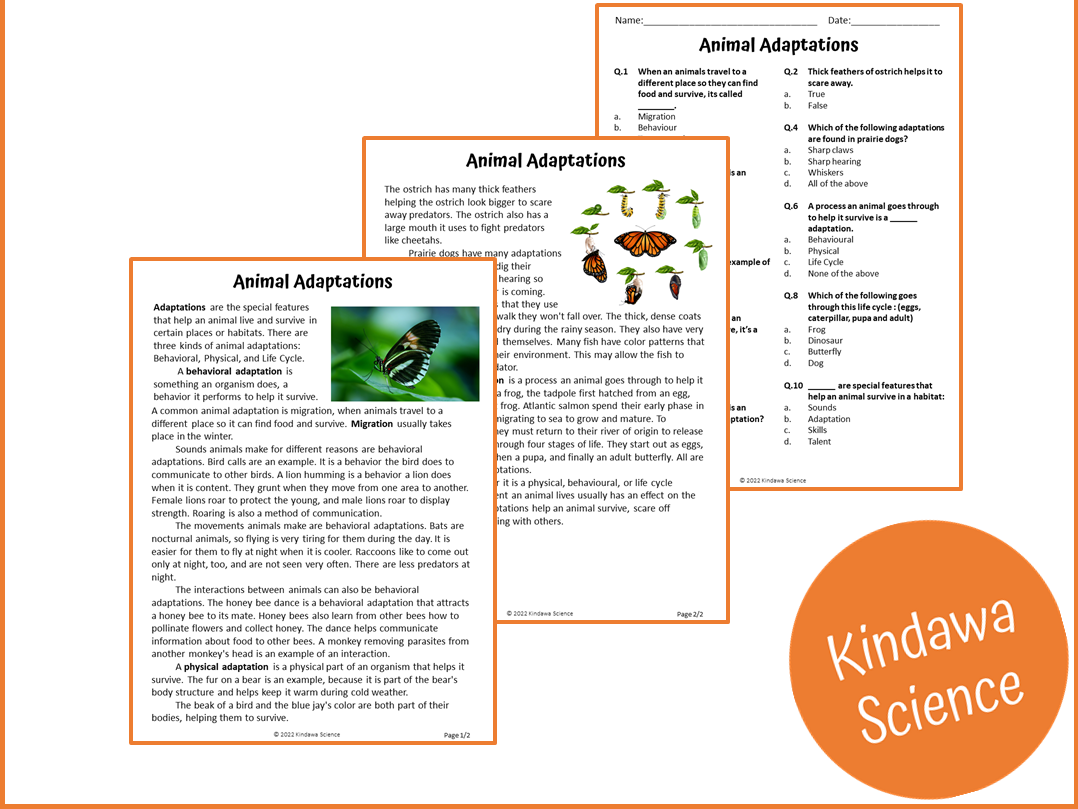 Animal Adaptations Reading Comprehension Passage And Questions PDF Teaching Resources