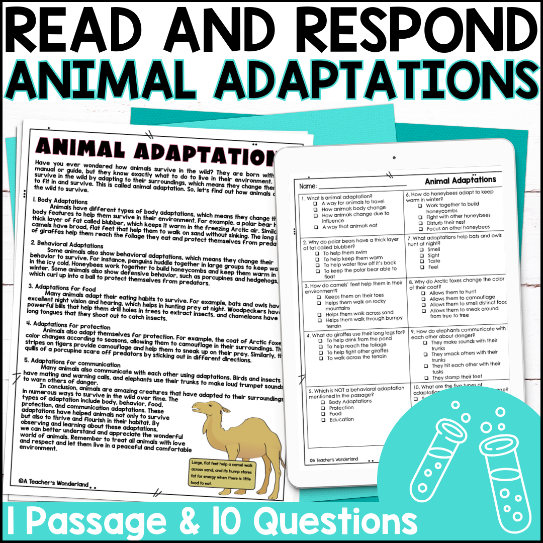 Animal Adaptations Reading Comprehension U0026 Quiz Google Forms Science Centers A Teacher s Wonderland