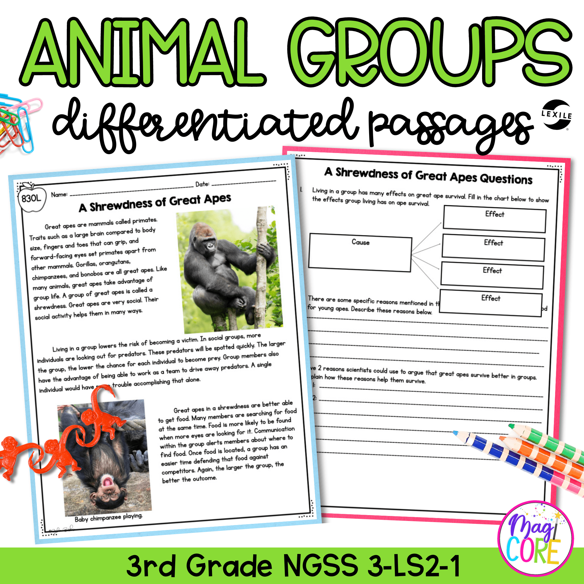 Science Reading Comprehension Worksheets 3rd Grade