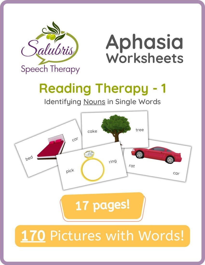 Aphasia Reading Therapy 1 NOUNS Reading Comprehension Speech Therapy Etsy