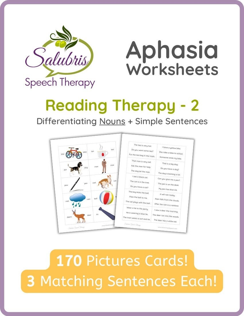 Aphasia Reading Therapy 2 NOUNS Reading Comprehension Speech Therapy Etsy