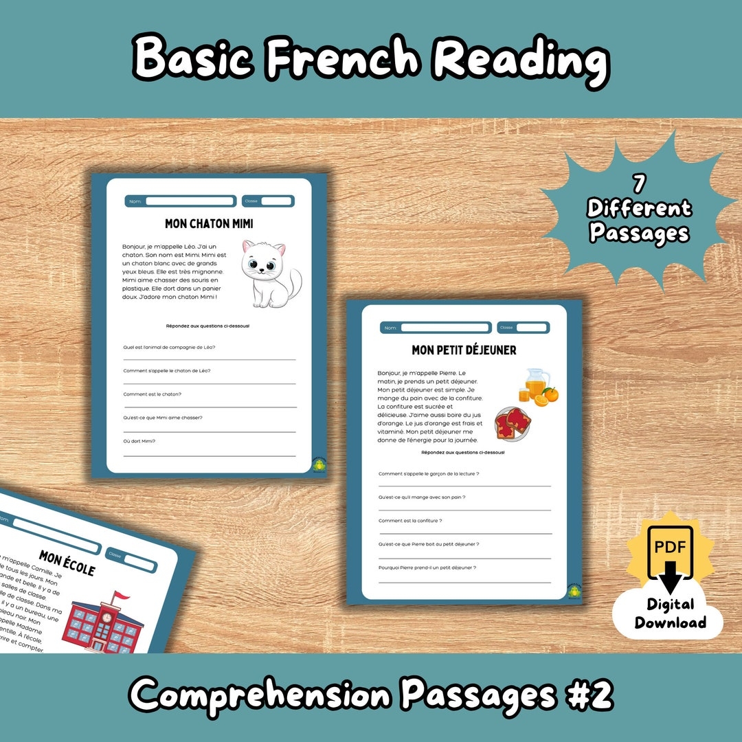 Basic French Reading Comprehension 2 french Learning Classroom 