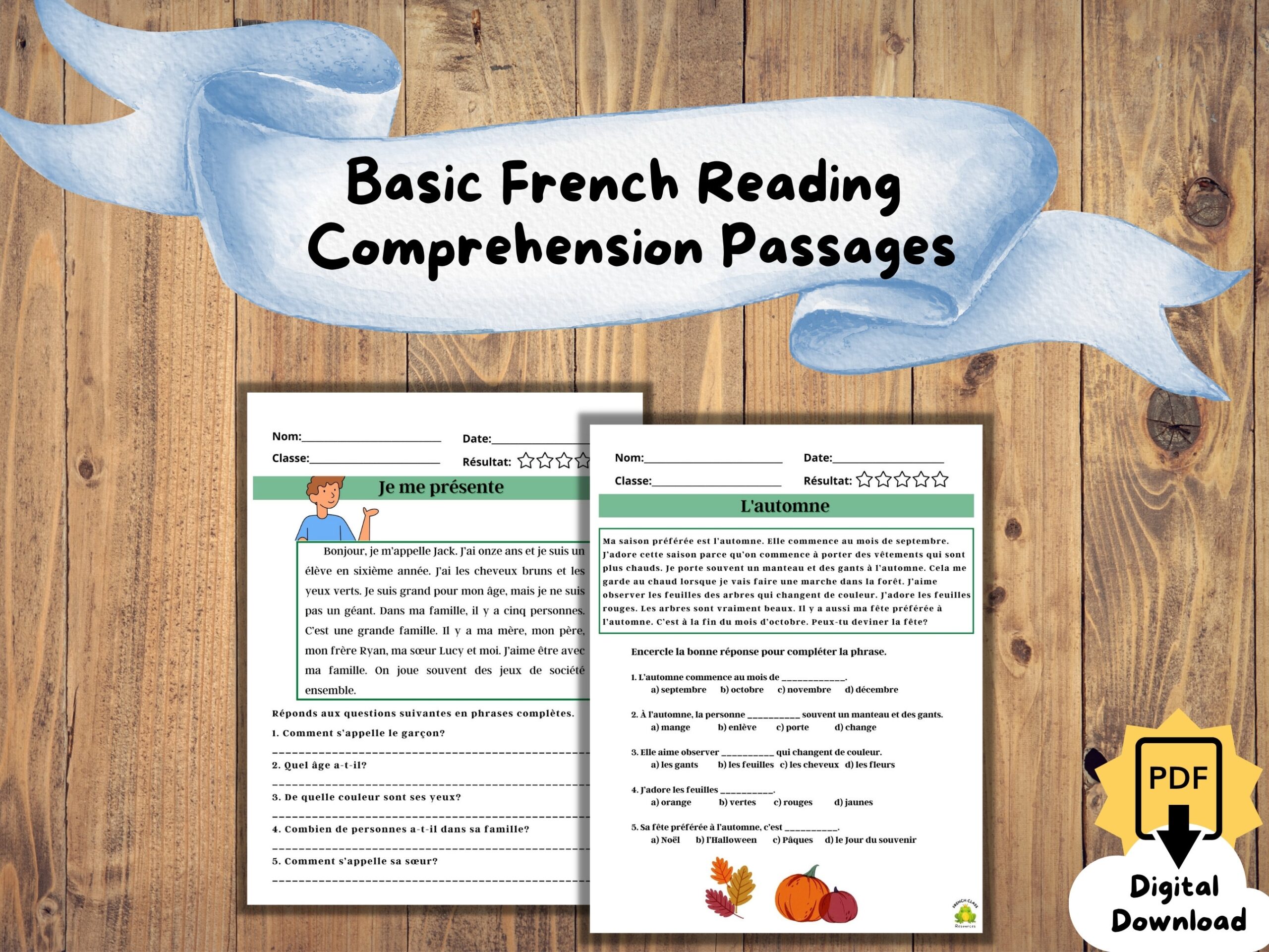 French Reading Comprehension Worksheets Ks3