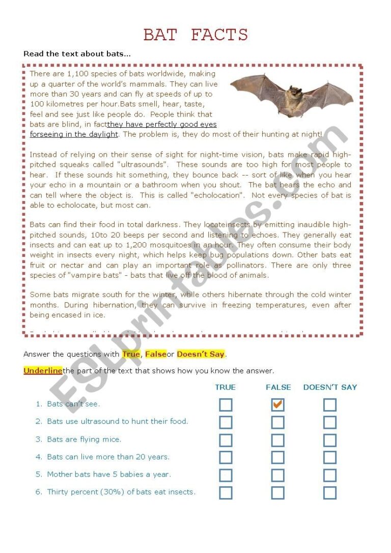 Bat Facts Reading Comprehension Halloween ESL Worksheet By Kirstyjay