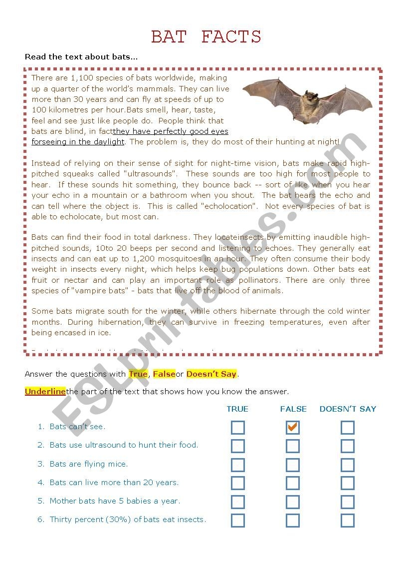 Bat Facts Reading Comprehension Halloween ESL Worksheet By Kirstyjay