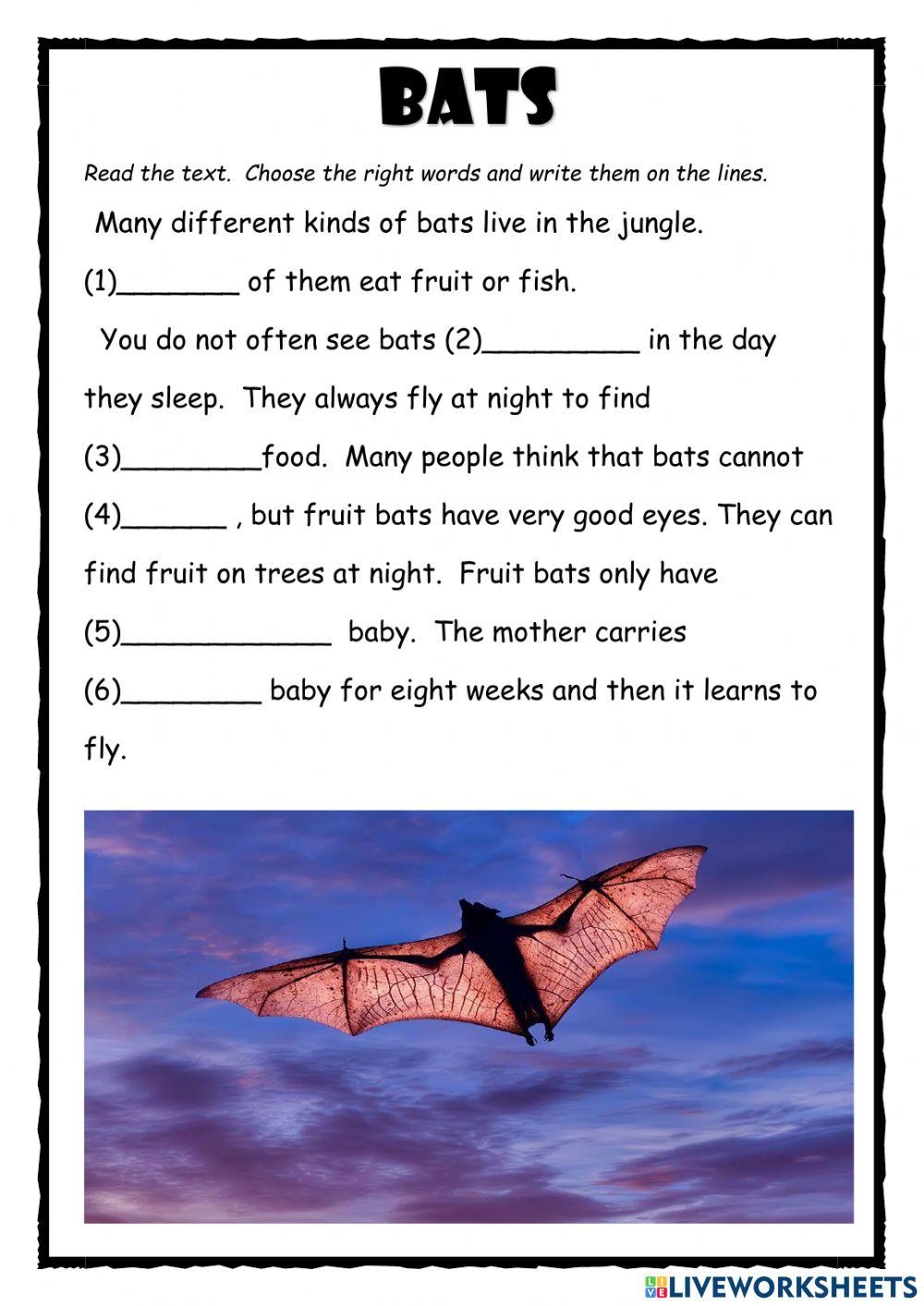 Bats Live Worksheets Worksheets Library