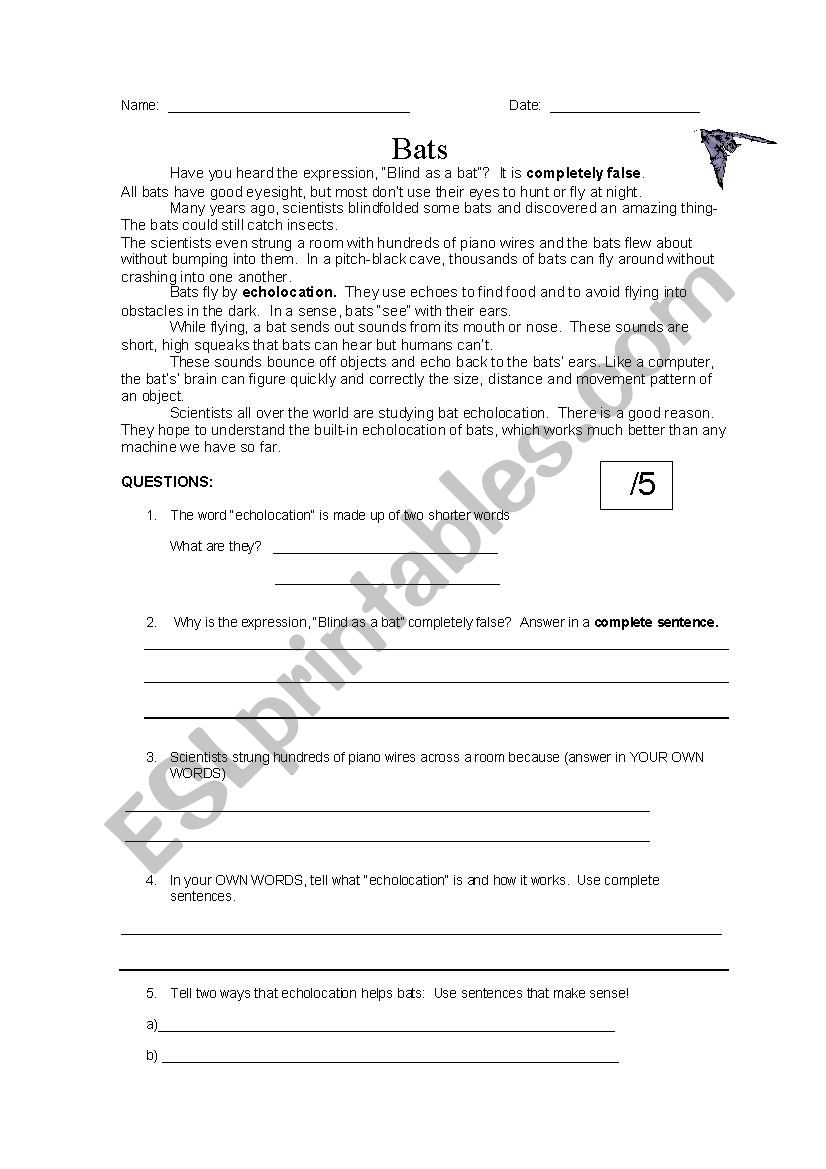 Bats Reading Comprehension ESL Worksheet By Laurieann