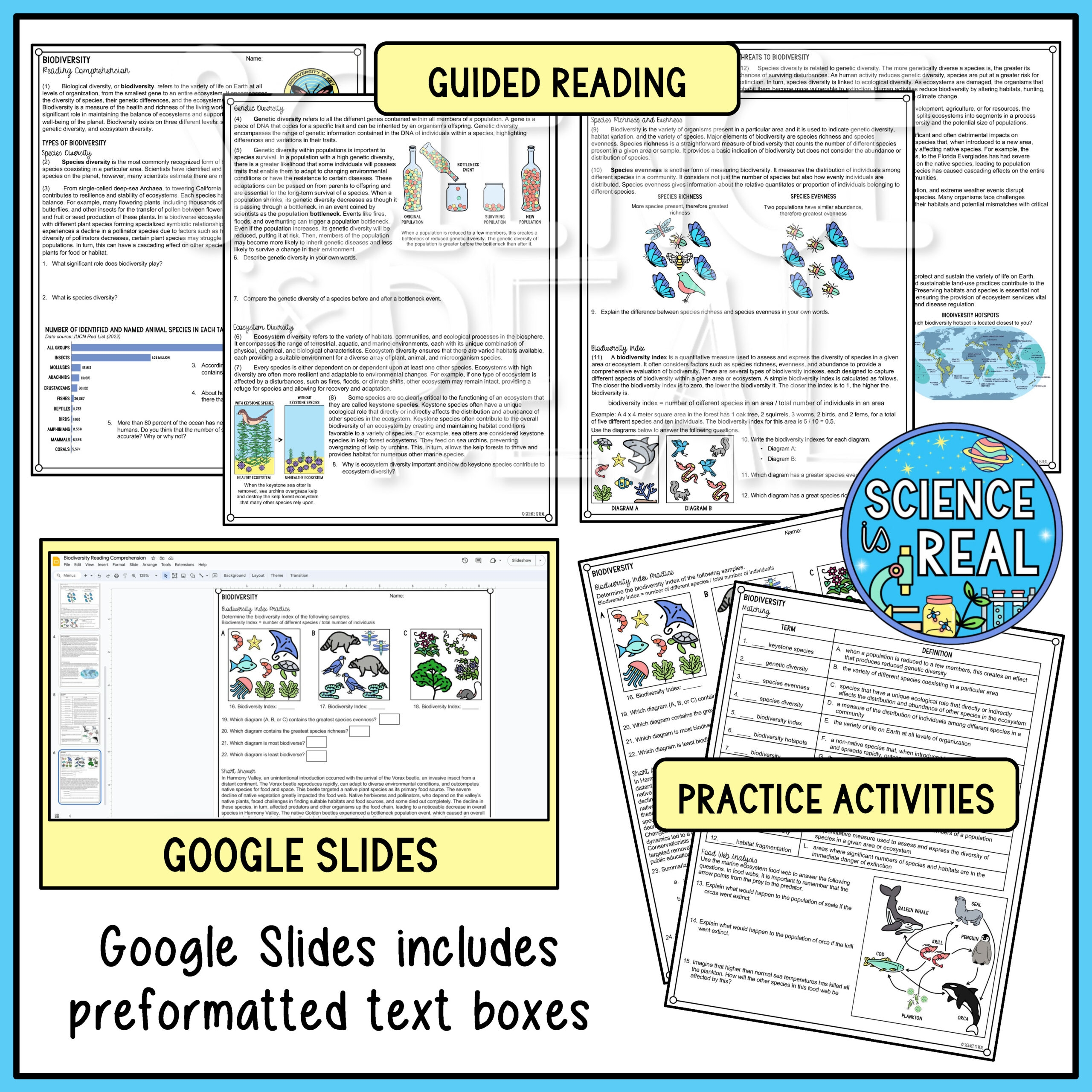 Biodiversity Reading Comprehension Worksheet