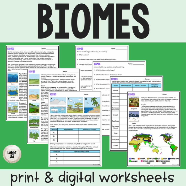 Biomes PDF Worksheet With Answer Key U0026 Digital Version