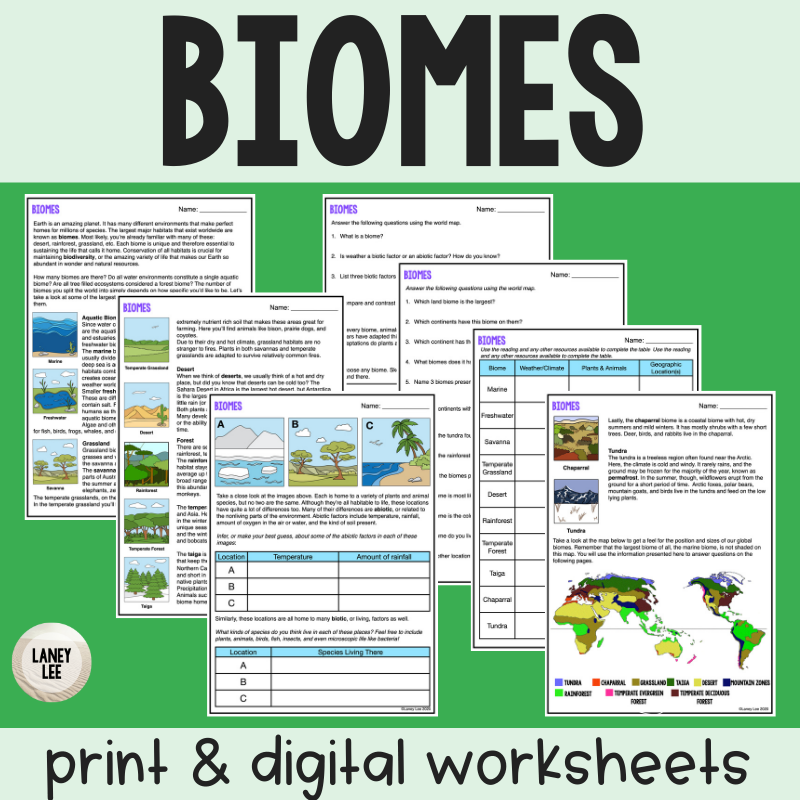 Biomes PDF Worksheet With Answer Key U0026 Digital Version