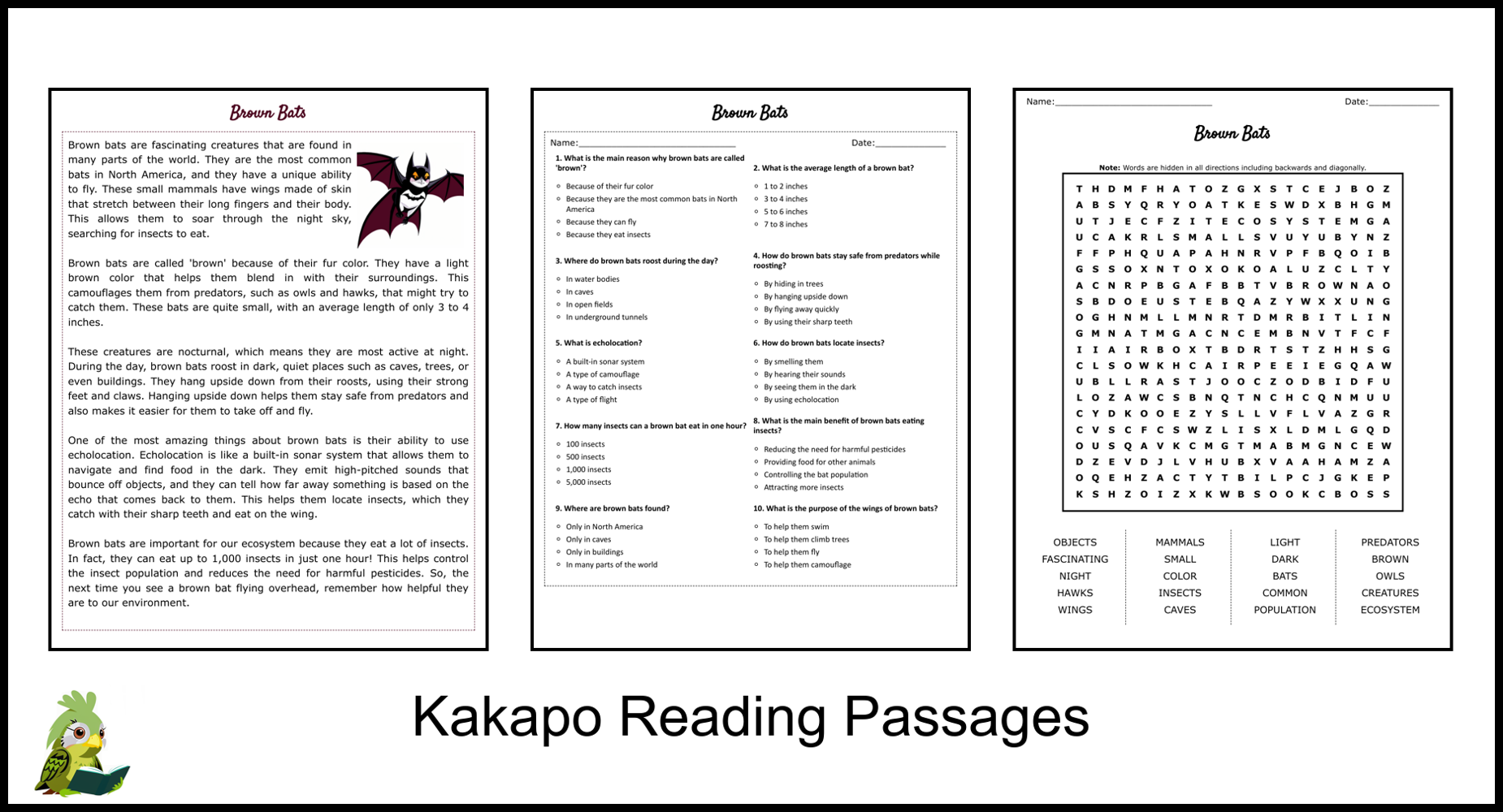 Brown Bats Reading Comprehension And Word Search Teaching Resources