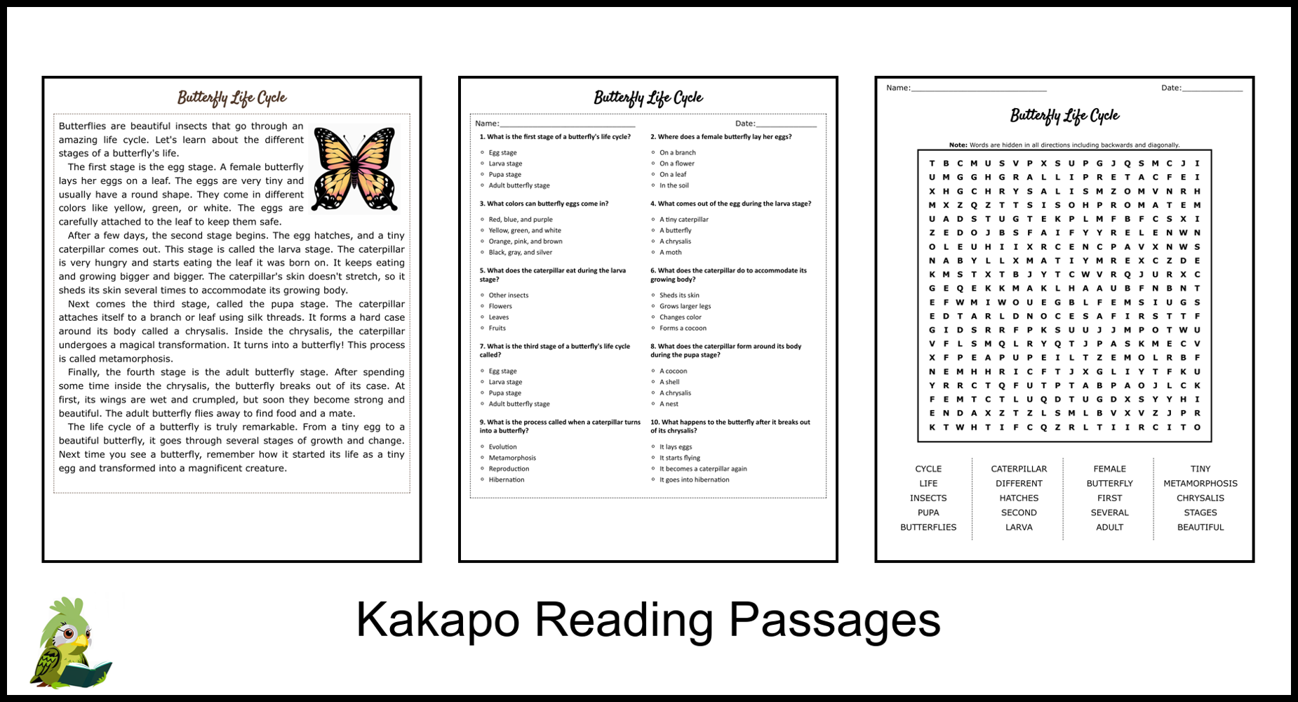 Butterfly Life Cycle Reading Comprehension And Word Search Teaching Resources