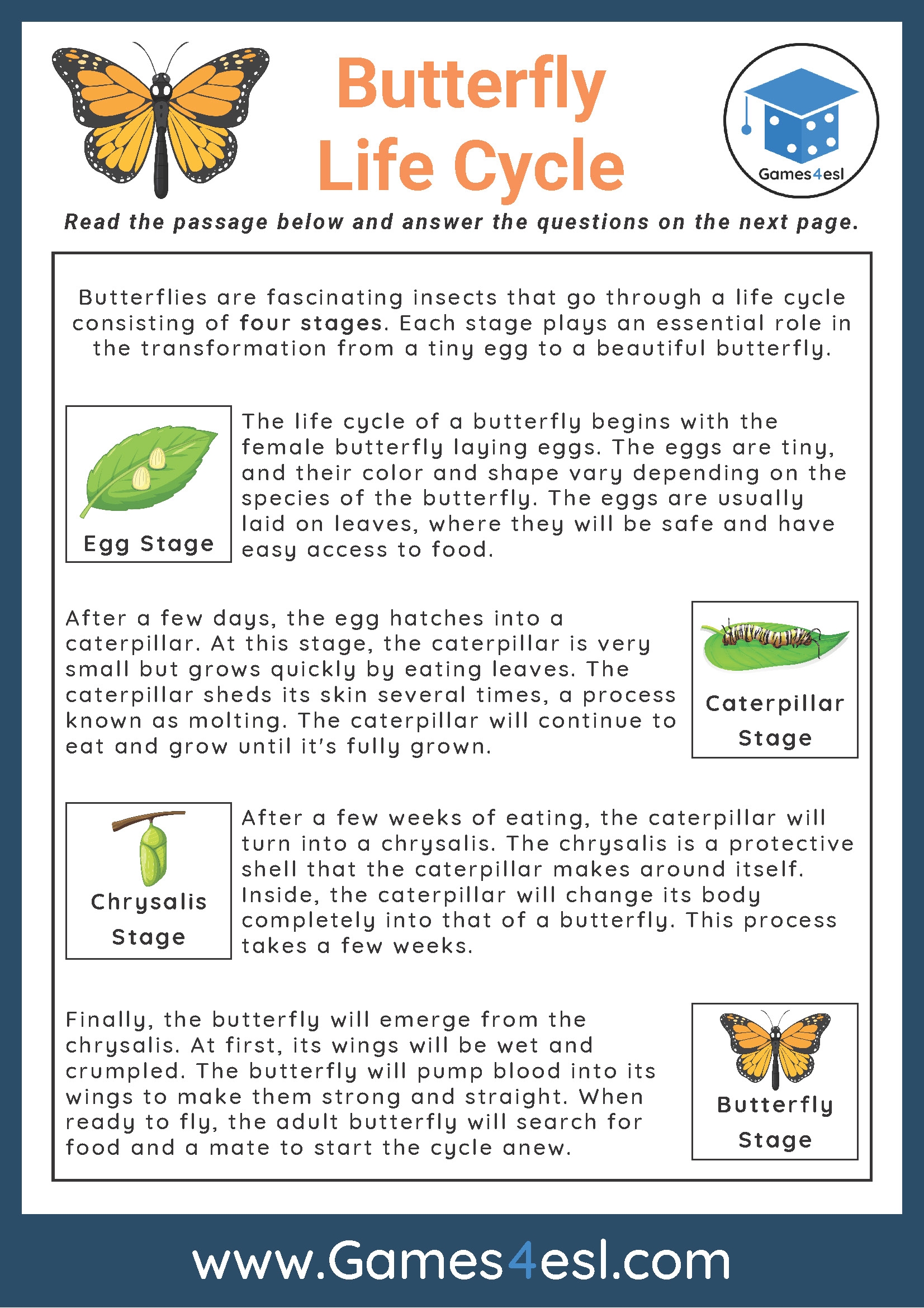 Butterfly Life Cycle Reading Comprehension Worksheet Games4esl