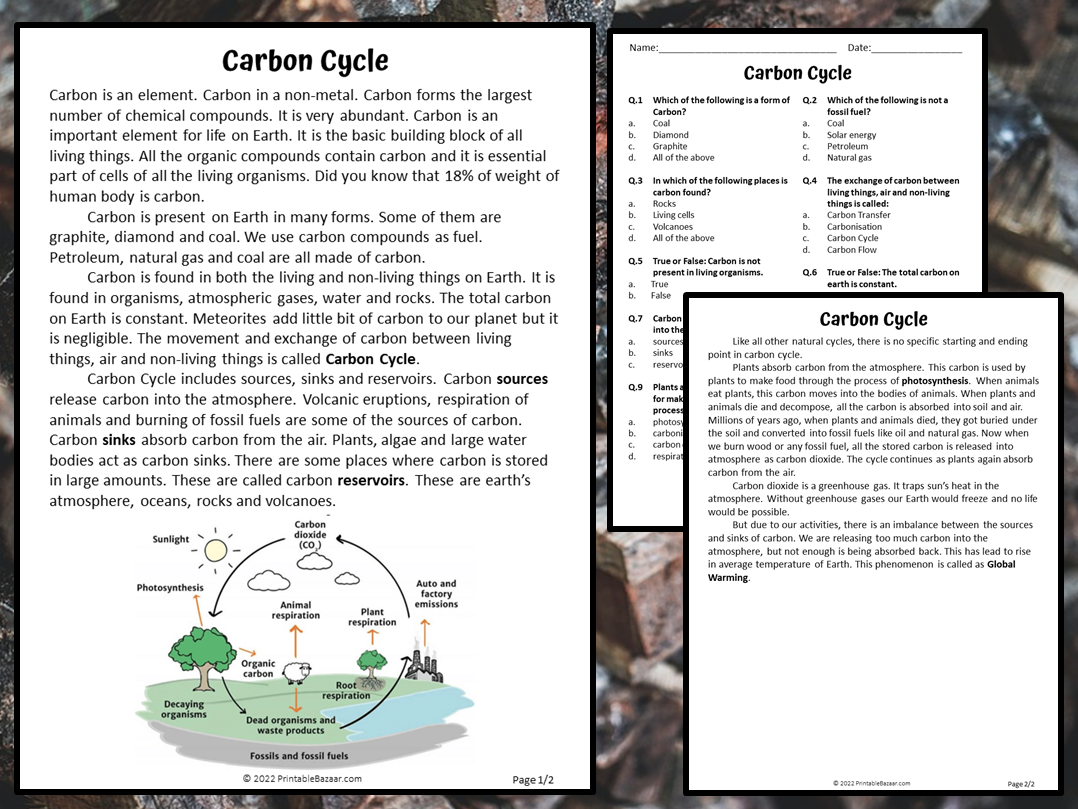 Carbon Cycle Reading Comprehension Passage And Questions PDF Teaching Resources