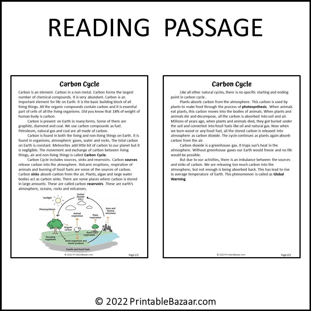Carbon Cycle Reading Comprehension Passage And Questions Worksheets Library