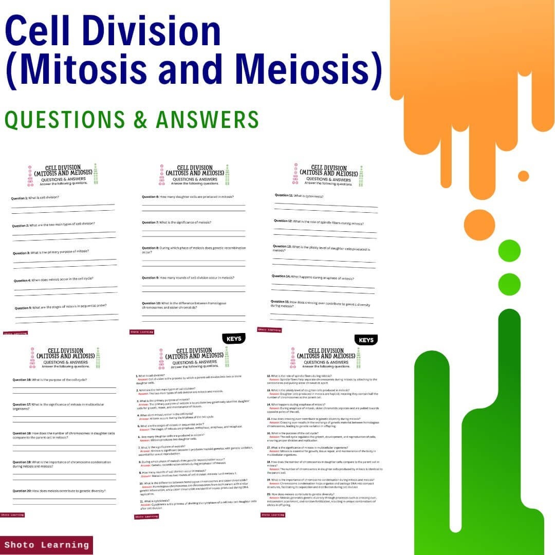 Reading Comprehension Worksheets For Mitosis