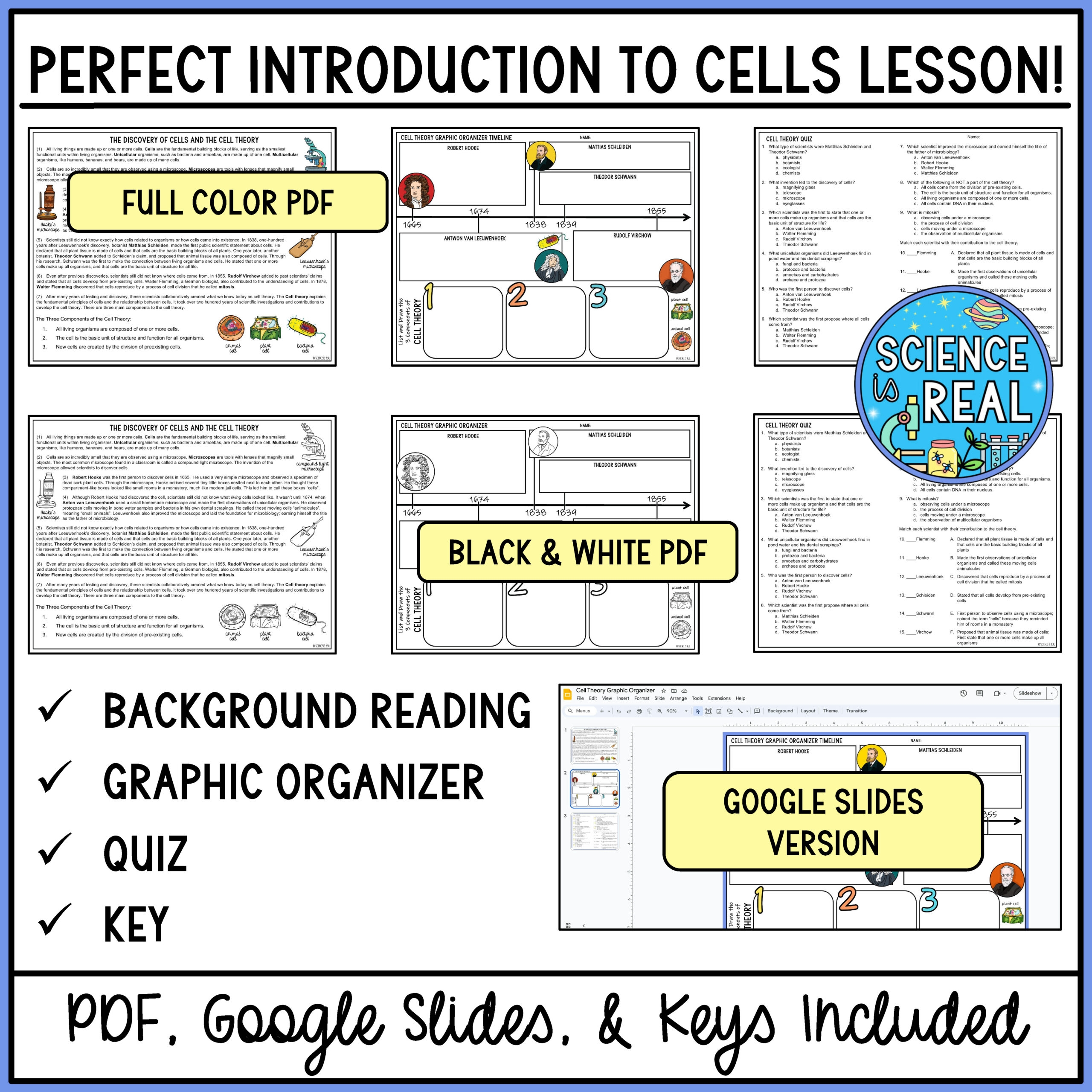 Cell Theory Reading Comprehension Worksheet Pdf