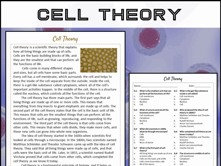 Cell Theory Reading Comprehension Passage And Questions PDF 