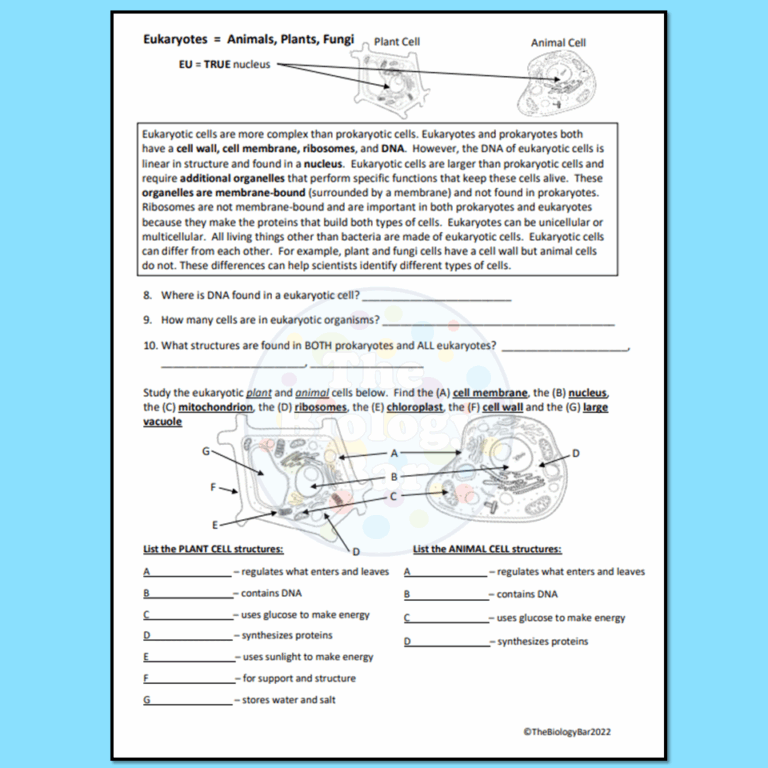Cells Prokaryotic Vs Eukaryotic Worksheet