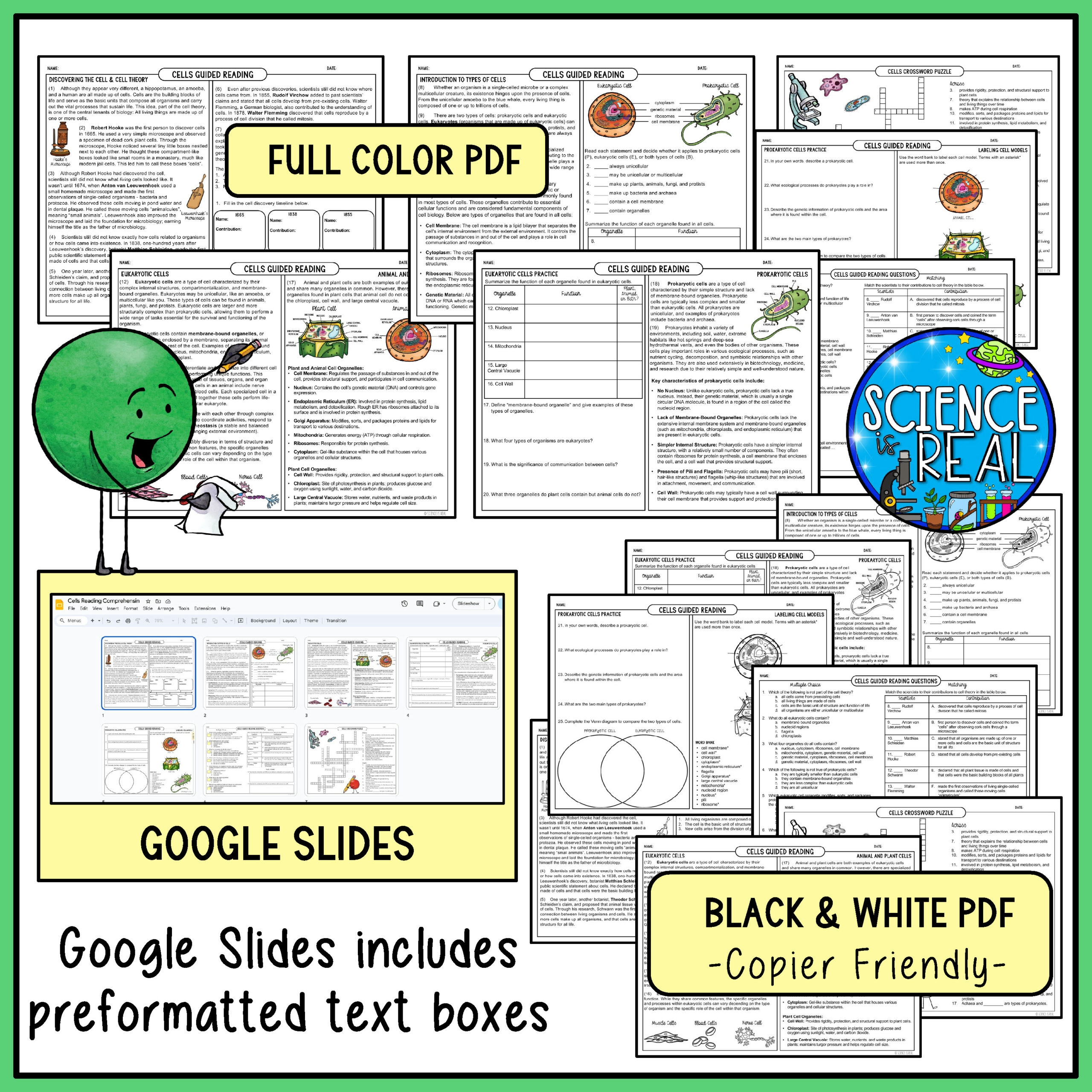 Cells Reading Comprehension Cell Theory Types Of Cells And 