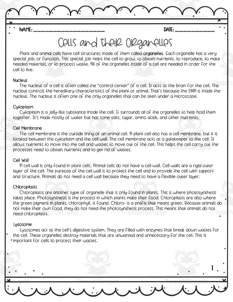Cells Reading Comprehension Worksheet Pdf