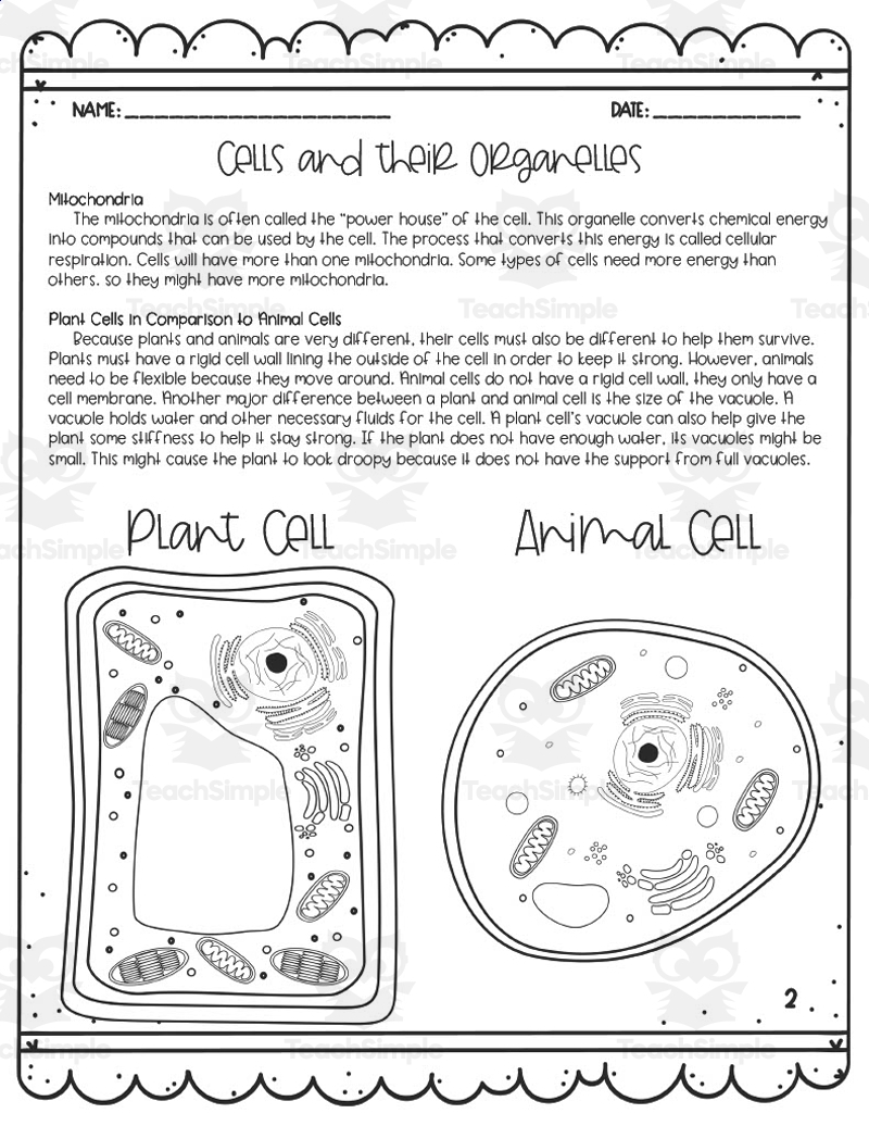 Cells Their Organelles Reading Activity