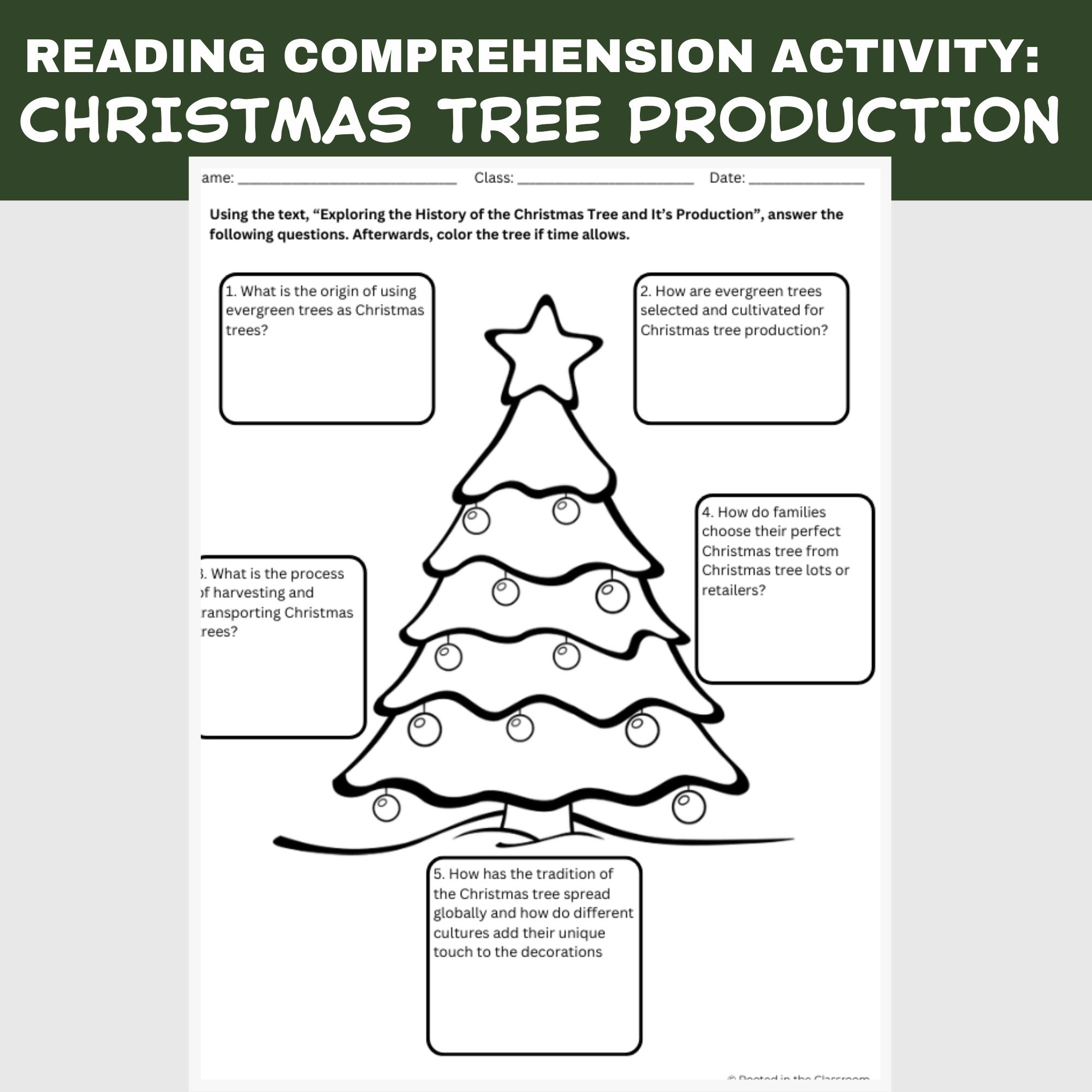 Christmas Tree Reading Comprehension Activity Agriculture In The 