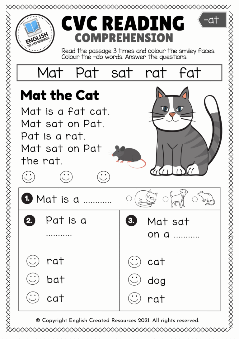 CVC Words Reading Comprehension English Created Resources