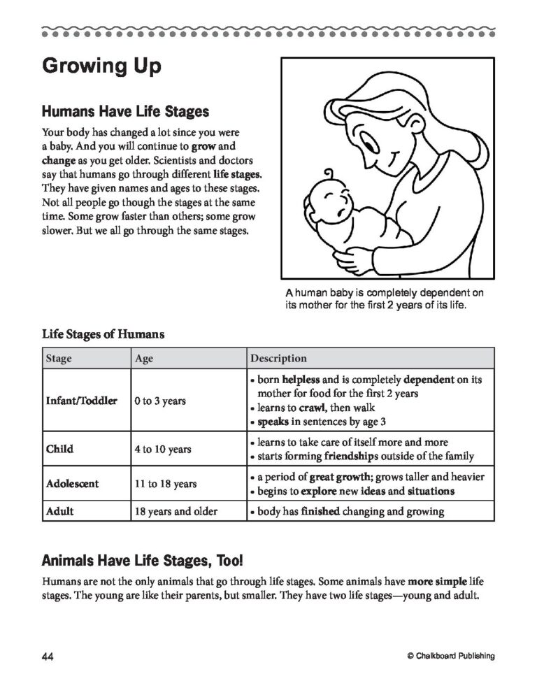 Daily Reading Comprehension Fourth Grade EBook