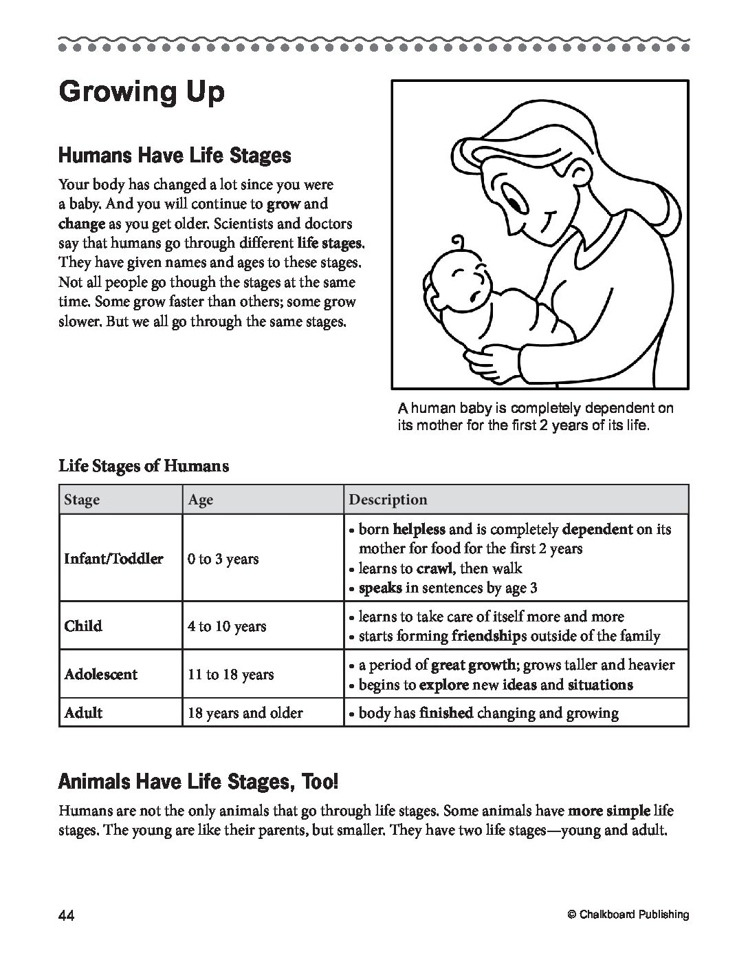 Daily Reading Comprehension Fourth Grade EBook