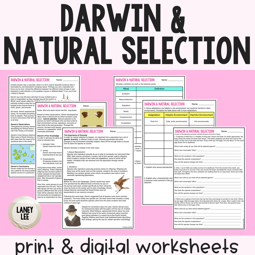 Darwin Natural Selection U0026 Evolution Guided Reading Worksheet