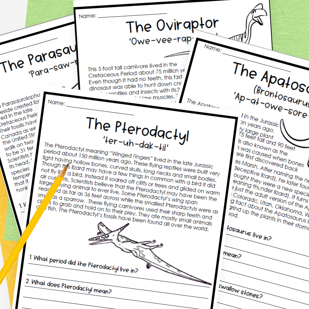 Dinosaur Reading Comprehension Having Fun First