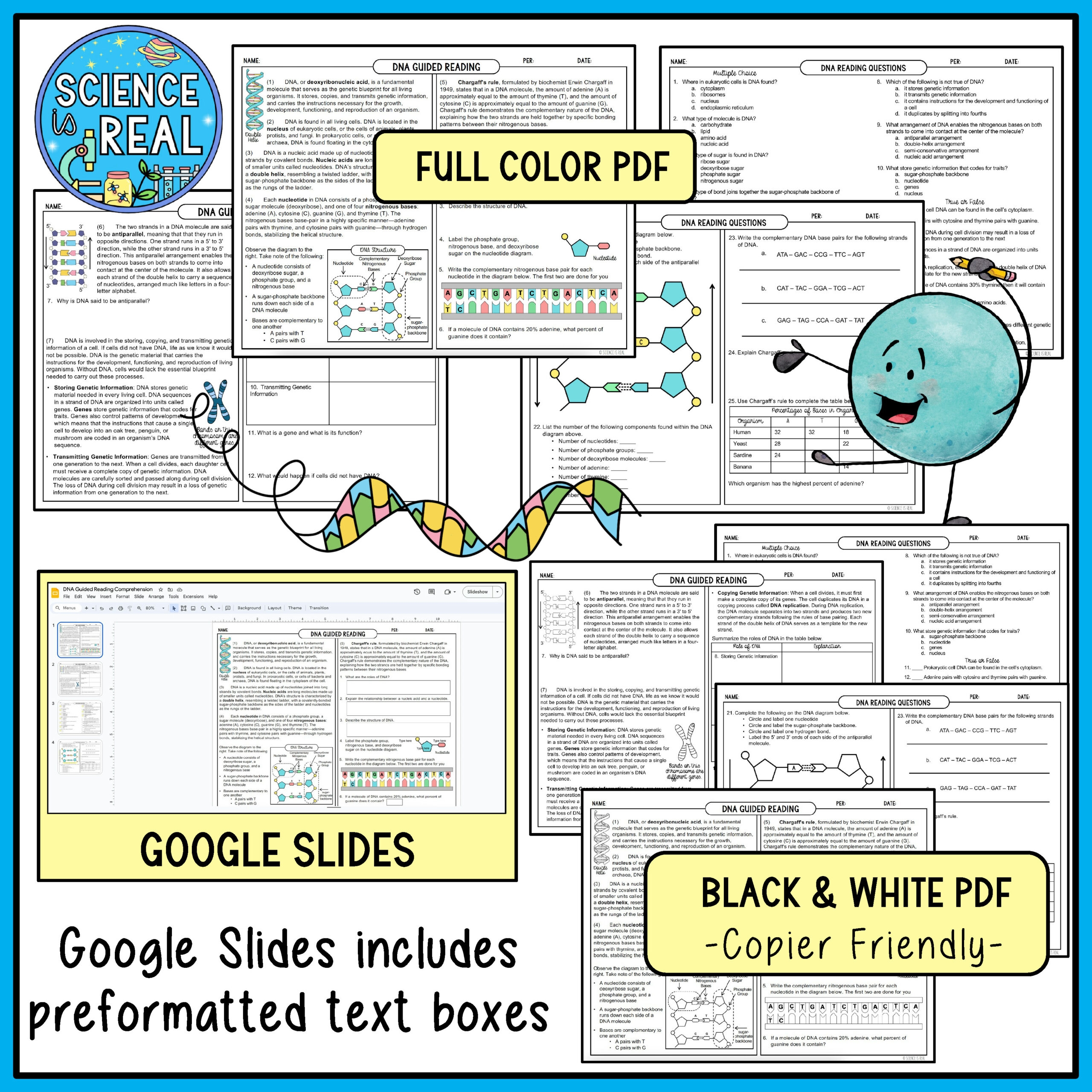 Dna Reading Comprehension Worksheet
