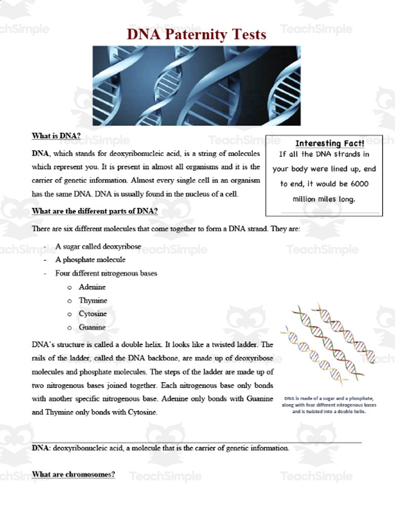 DNA Paternity Tests Reading Comprehension Article By Teach Simple