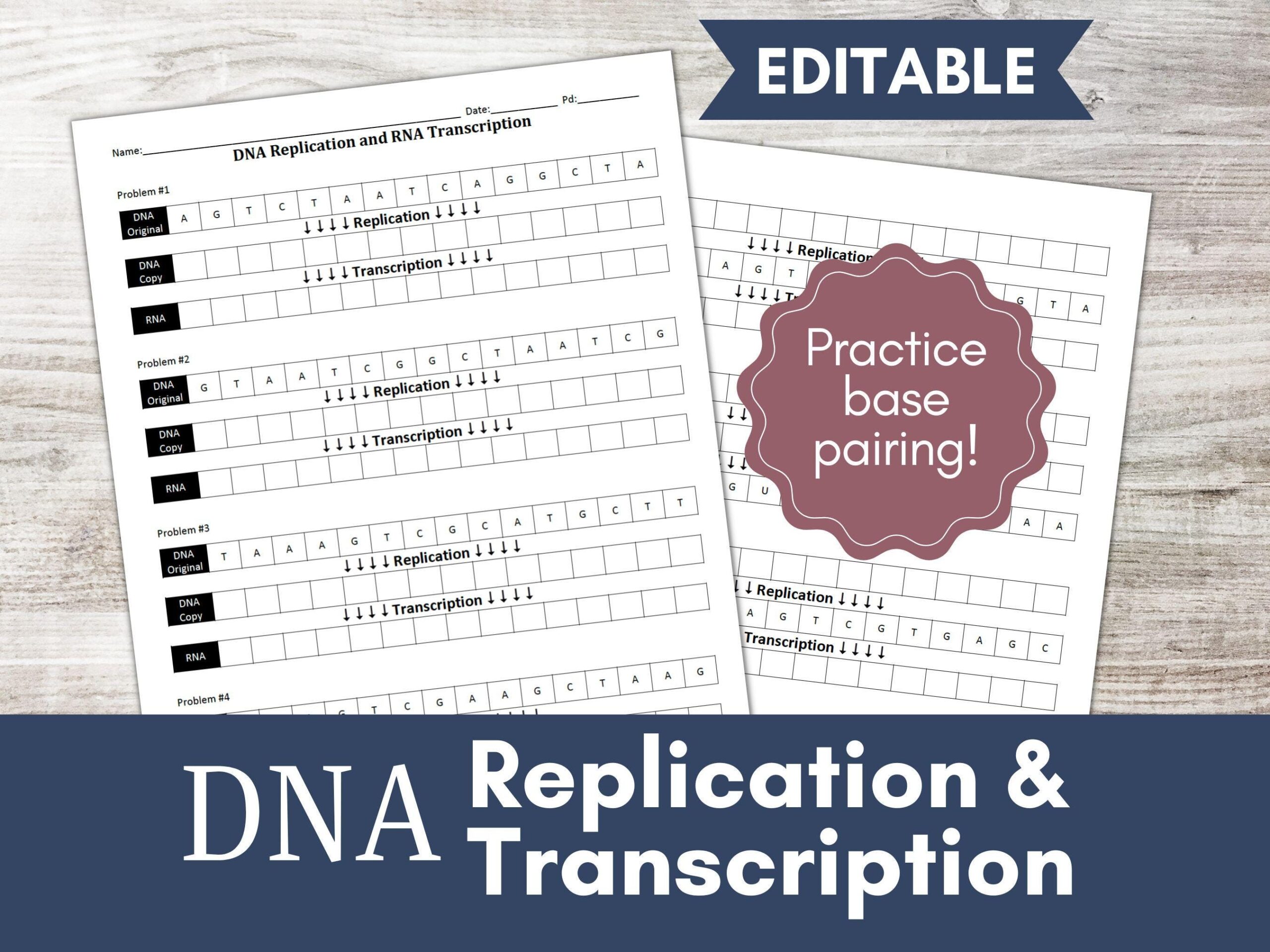 DNA Replication And Transcription Worksheet Activity Practice Base Pairing Biology And Life Science Cells RNA Etsy
