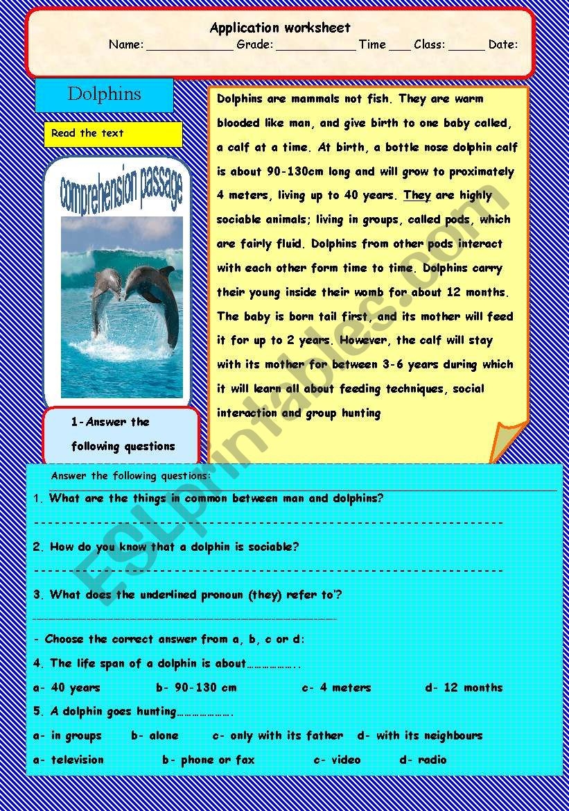 Dolphins A Comprehension Passage ESL Worksheet By Adel A