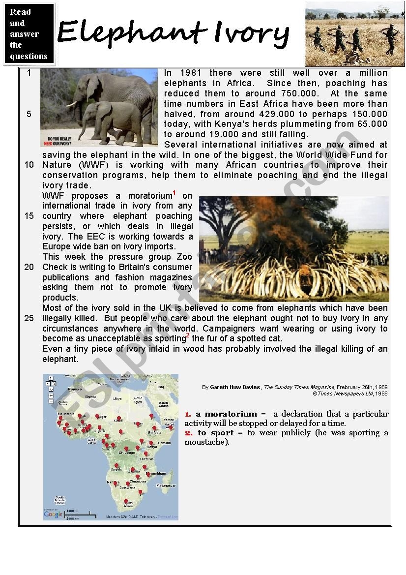 Elephant Ivory Reading Comprehension KEY ESL Worksheet By Karagozian