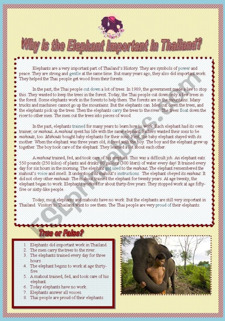 Elephants In Thailand ESL Worksheet By Kohaku